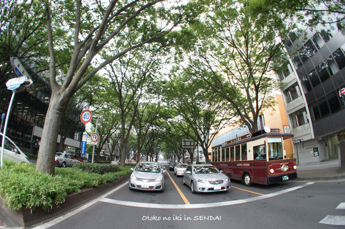 1120-14Sendai