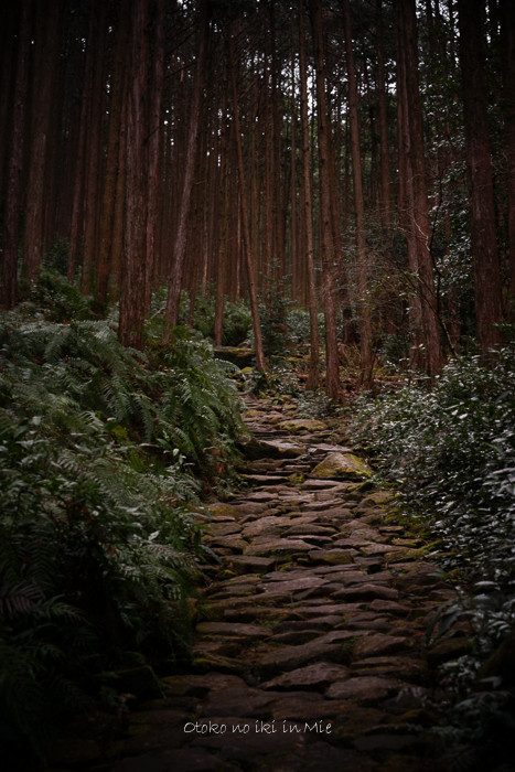 0708熊野古道3月-17