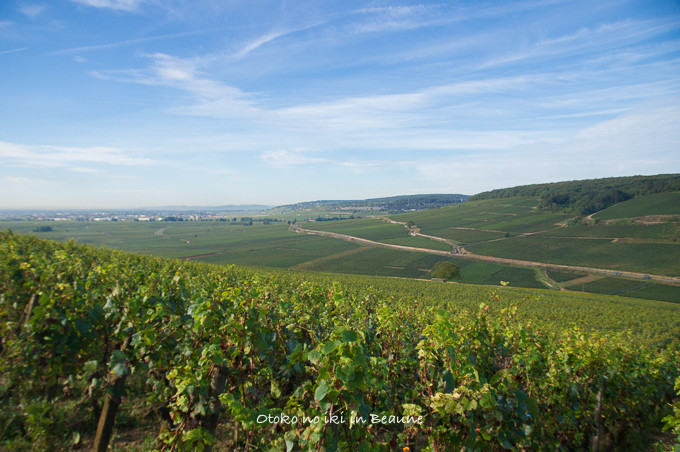 0822Corton9月-22