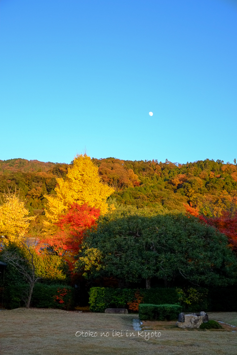 1115渉成園11月-22
