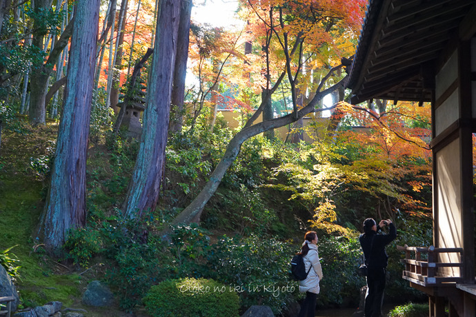 1028栄摂院11月-8