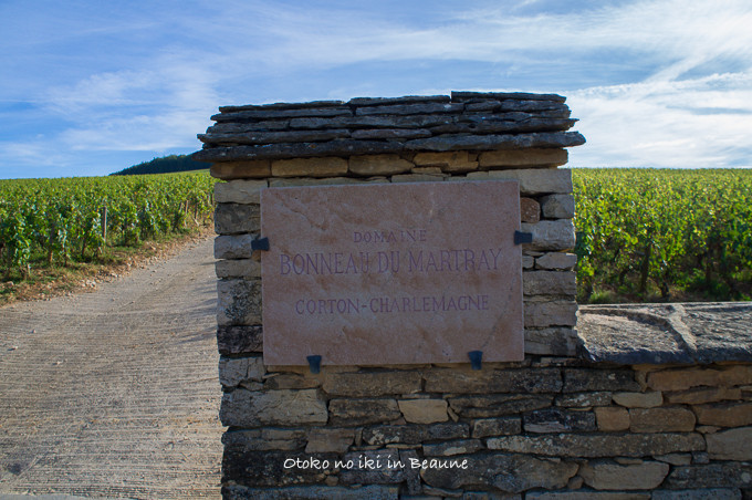 0822Corton9月-35