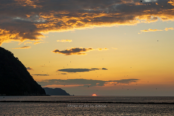 ���и�2020-60