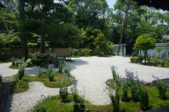 0726KYOTO7月-10