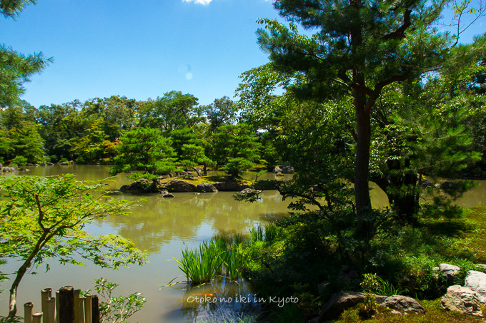 0831金閣寺7月-22
