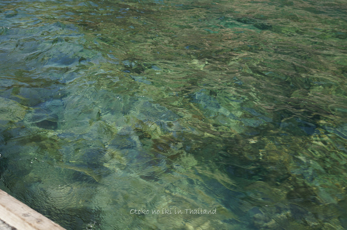 0103Krabi12月-34