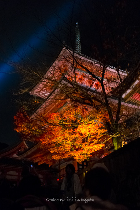 1123清水寺11月-2