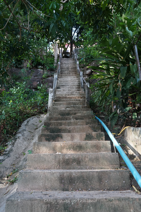 0517Thai5月-63