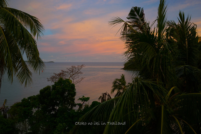 0517Thai5月-20