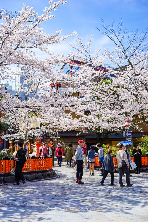 0407京都4月-10