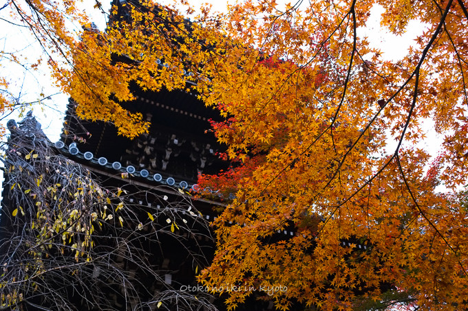 0404京都紅葉11月-6