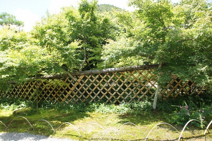 光悦寺7月-12