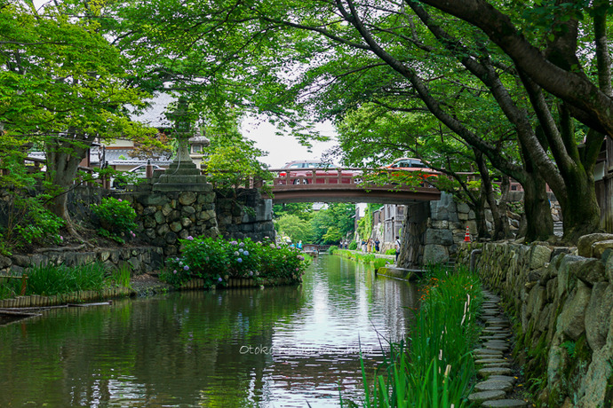 滋賀2019-2