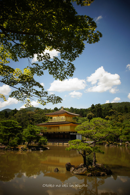 0831金閣寺7月-14