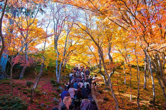 1110常寂光寺11月-1