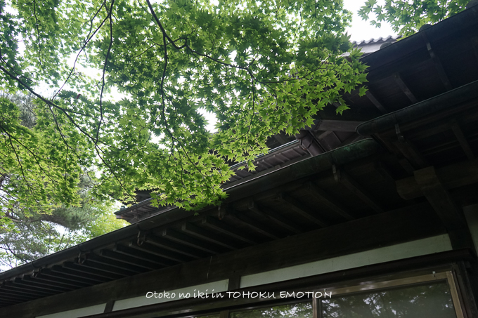 0803TOHOKU7月-31