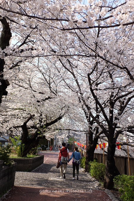 0409FUJI1·î-15