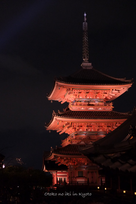 1123清水寺11月-4