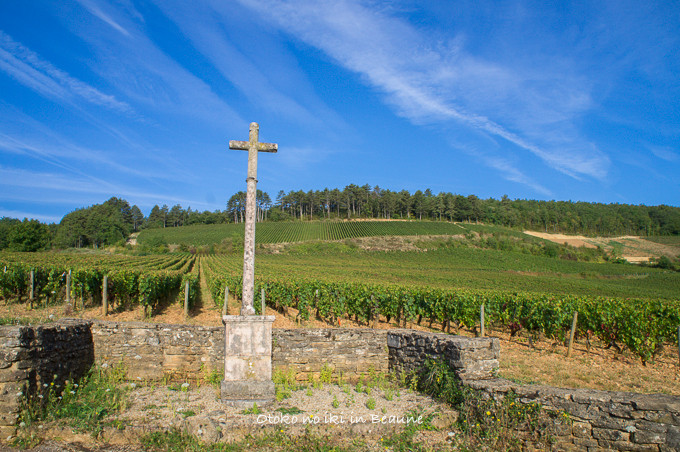 0822Corton9月-10