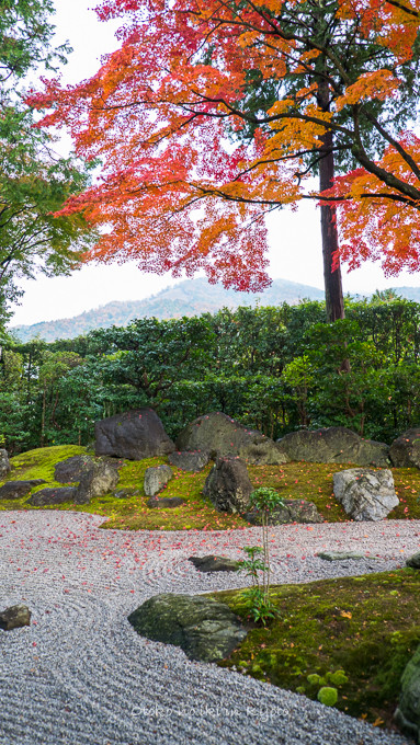 0404京都紅葉11月-16