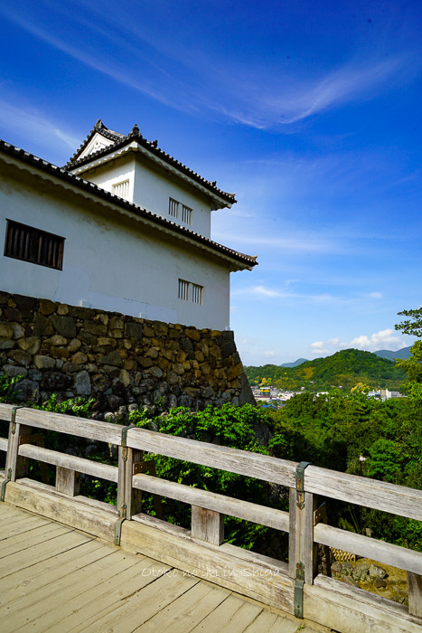 彦根城2019-20