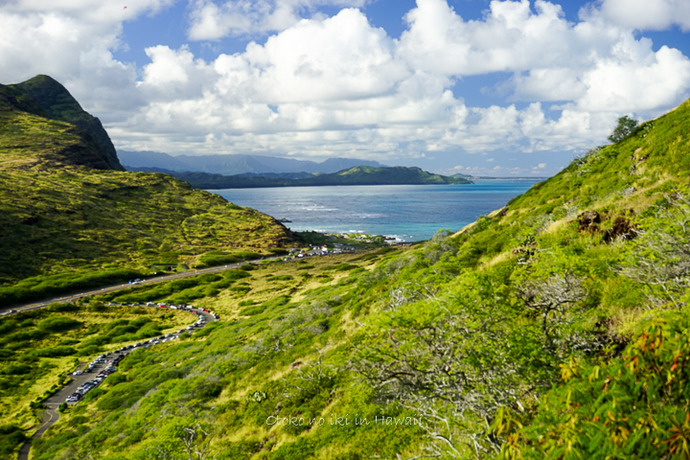201412_Hawaii12月-42