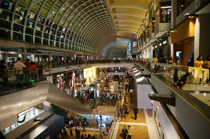 0825SG12月-42