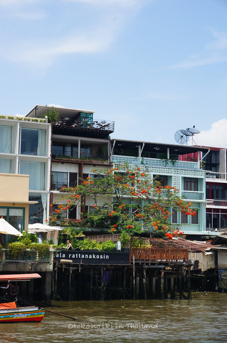 201405Thai5·î-133