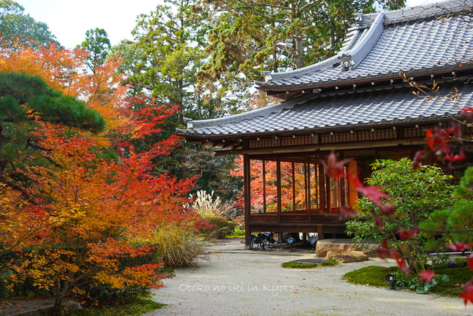 1124京都11月-25
