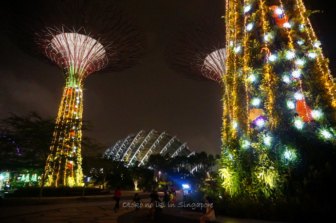 0825SG12月-25