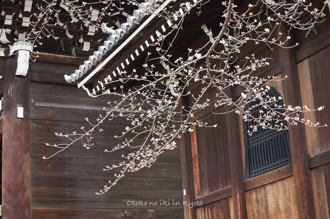 0324京都3月-21