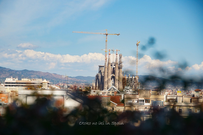 1003Spain9·î-31