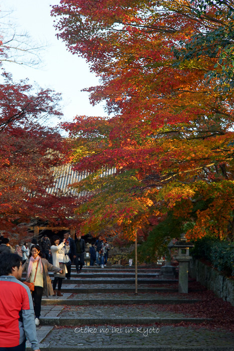 京都112511月-16