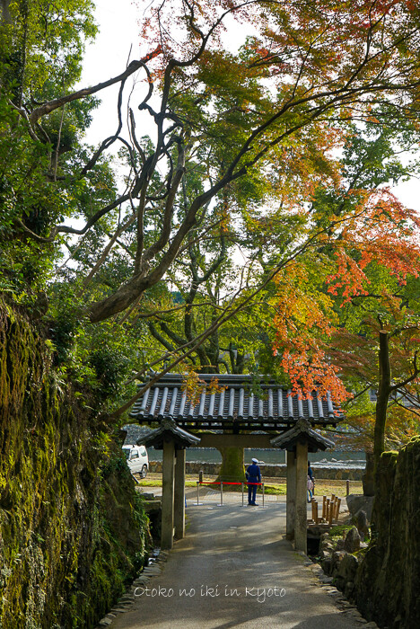 宇治松露会2019-10