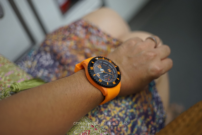 1011ICEWATCH-28月-5