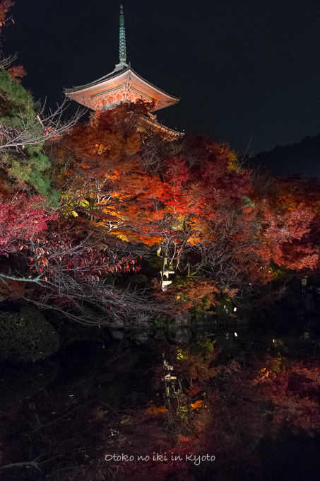 1123清水寺11月-18
