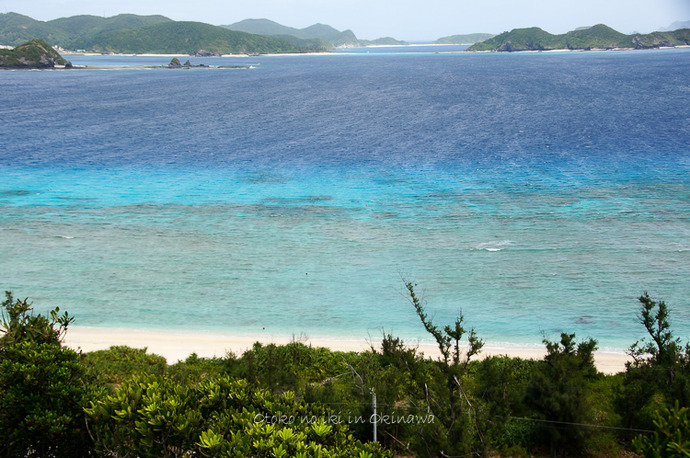 0918阿嘉島へ9月-26