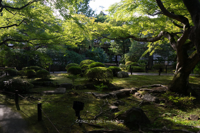 1020KYOTO10·î-54