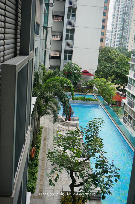 0113Singapore12月-4