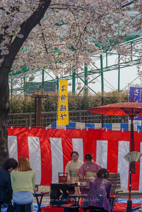 花見2019-8