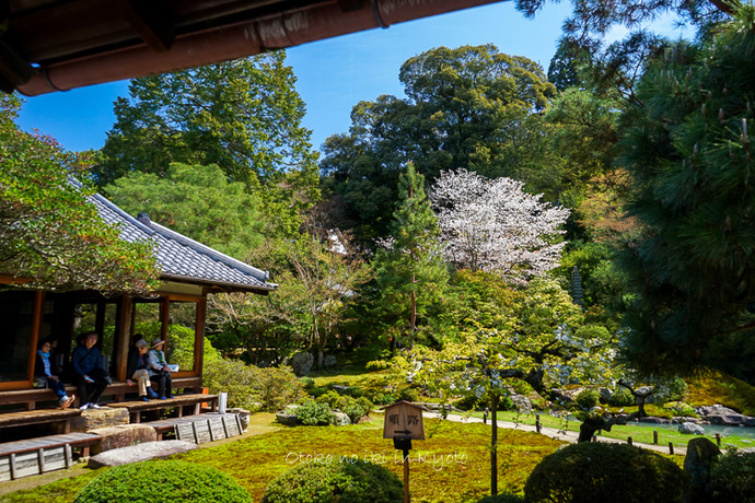 0407京都4月-35
