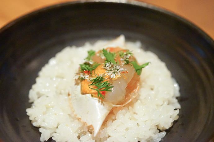 0414FISHSCHOOL2月-11