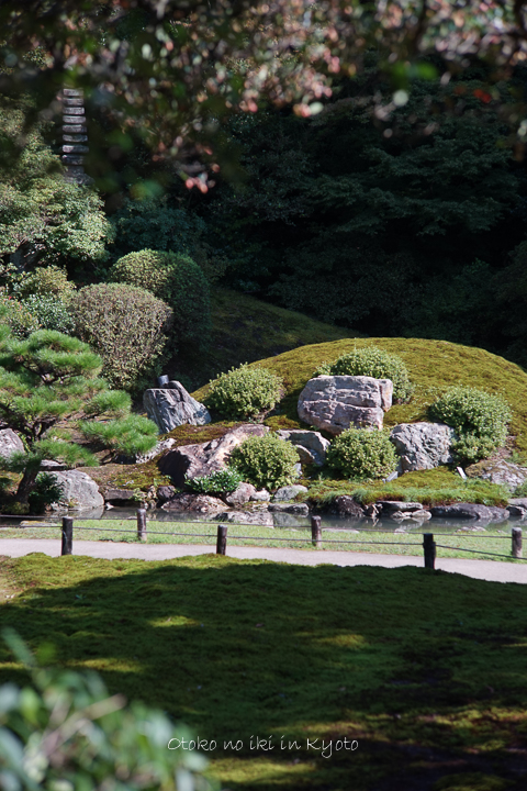 1020KYOTO10·î-43
