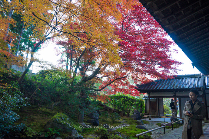 1028栄摂院11月-7