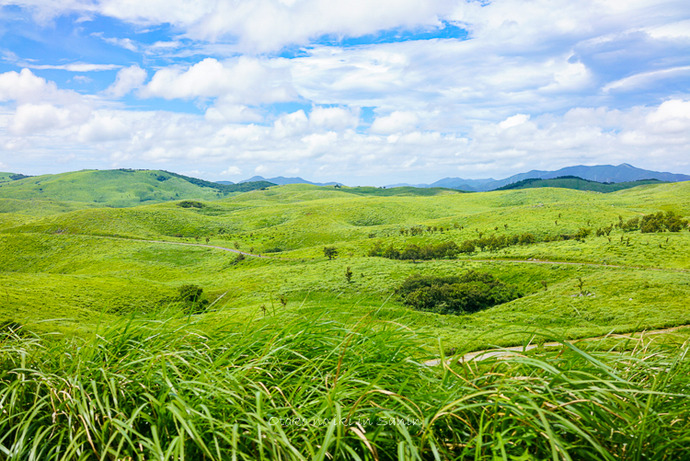 ���и�2020-128