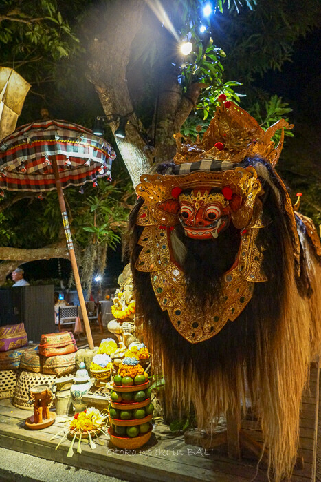 RIMBA2019-36