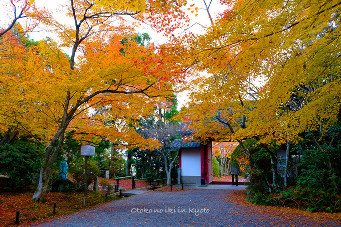 1203常照寺11月-26