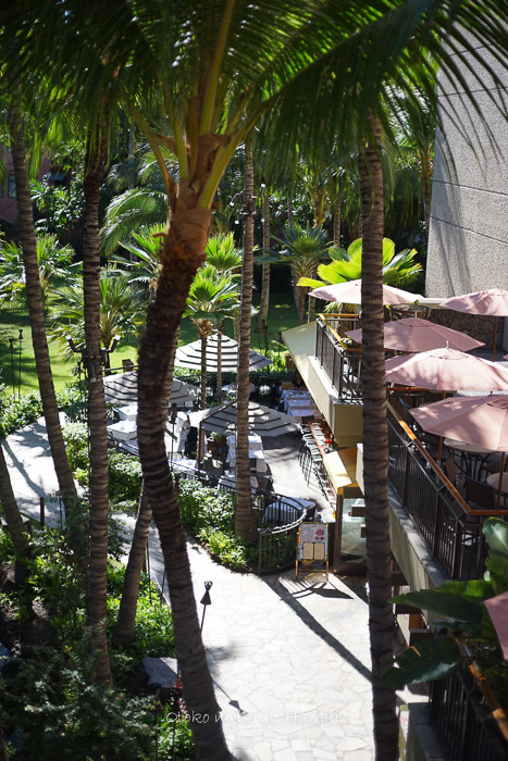0420HawaiiWG12月-14