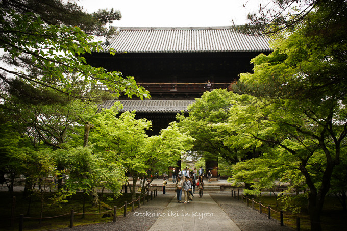 201205µþÅÔÄ«¥Þ¥é¥½¥ó5·î-12