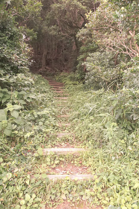 0718答志島36月-3